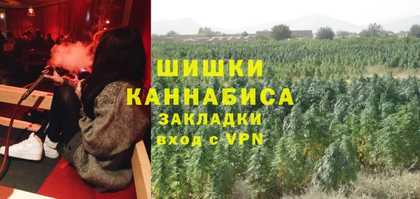сатива Абинск