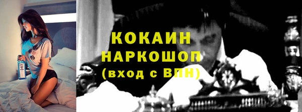 сатива Абинск