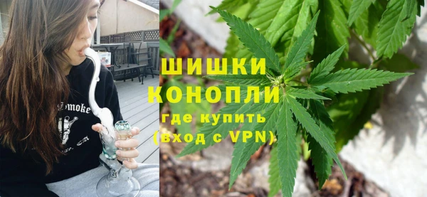 сатива Абинск